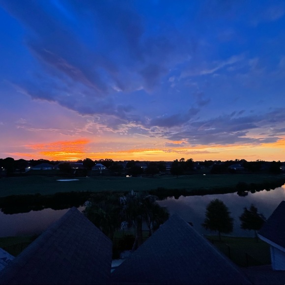 Meet your Posher, Jackie - Picture 1 of 1